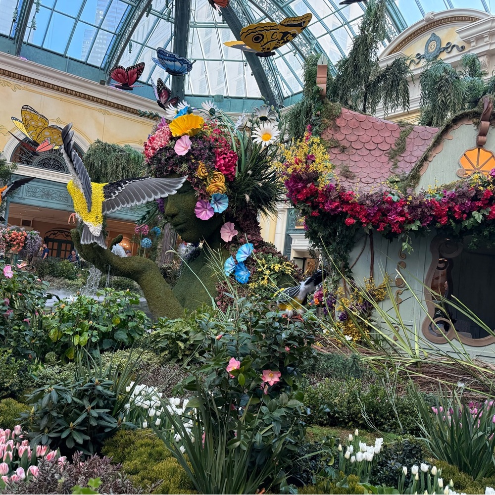 Meet your Posher, Rany